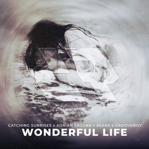 Wonderful Life