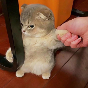 IMG_2022-03-27_22:00:32_0