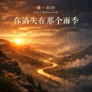 你消失在那个雨季