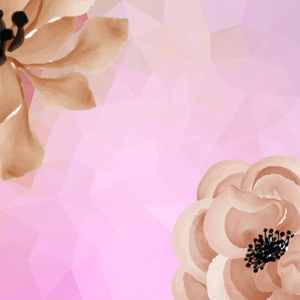 优美经典咖啡器乐