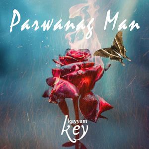 Parwanag Man