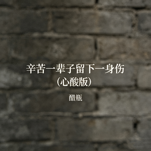 辛苦一辈子留下一身伤(心酸版)