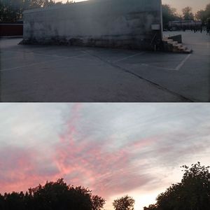 petal_20230125_023420