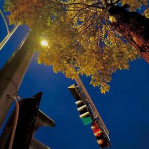 悸（prod by FRESH_ye）