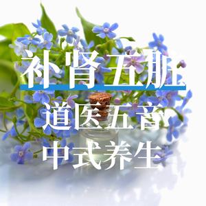 补肾五脏 道医五音 中式养生