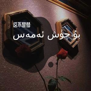 Bu Qux Amas (这不是梦)