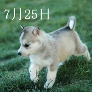 7月25日（口琴）