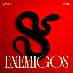 Enemigos