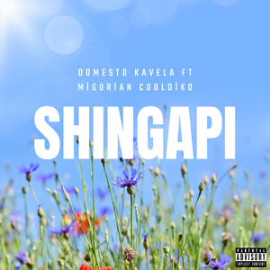 Shingapi