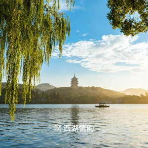西湖情韵