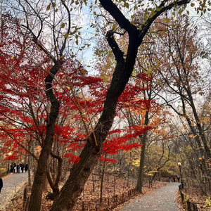 救いの影 (The Shadow of Salvation).wav