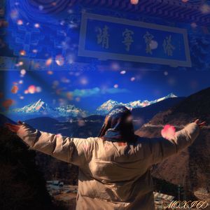 透支我花呗的额度