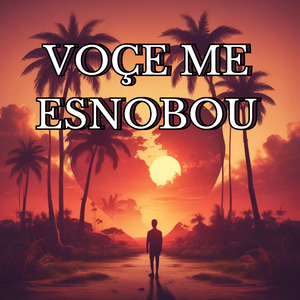 Você me Esnobou