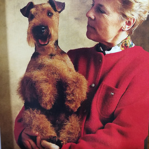 狗狗雪纳瑞+动物