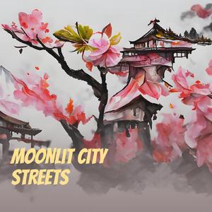 Moonlit City Streets