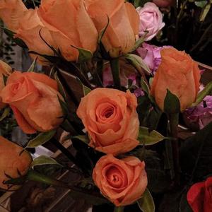 柯南主题曲-有你在身边（钢琴）