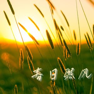 灯影暖光 (竖琴)