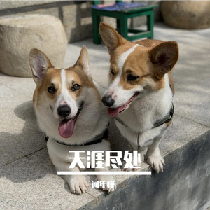 天涯尽处（翻自 周深）