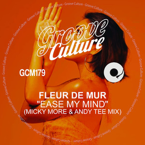 Ease My Mind (Micky More & Andy Tee Edit)