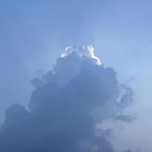 天使的指纹(Cover)