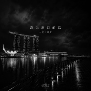 没说出口的话