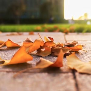 青梅引（cover 时尚）