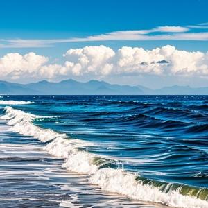 我飘向北方 (现场)