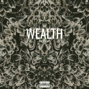 Wealth