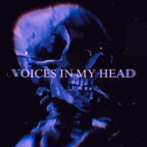 Voices in My Head (Slowed)