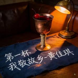 第一杯我敬故乡 (DJ涵双版)