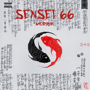 Sensei 66