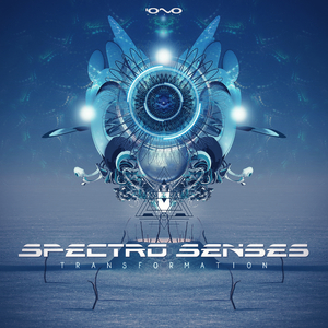Gravity Loss (Spectro Senses Remix)