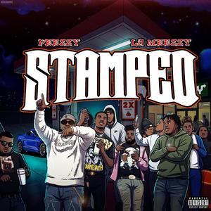 Stamped (feat. Lil Meezy)