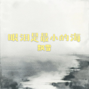 眼泪是最小的海