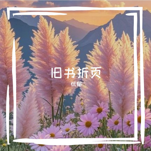 旧书折页