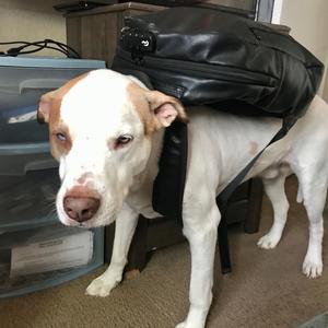 She Hit The Woo For Us