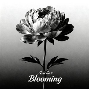 Blooming