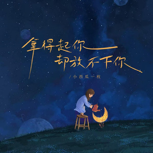 拿得起你却放不下你 (伴奏)