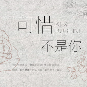 可惜不是你（Cover 曹轩宾 / 金海心）