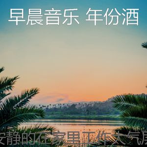 一尘不染器乐印象数