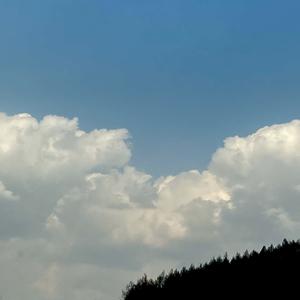 muji 2020（replay）