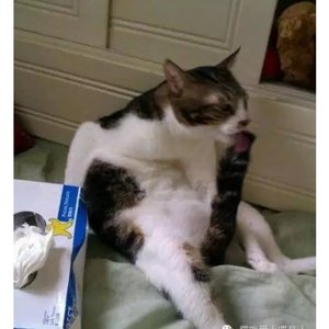 force 〔remake〕ALWALKERR