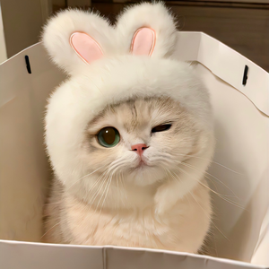 海屿你（这旋涡里的哈基米快把我吞没）