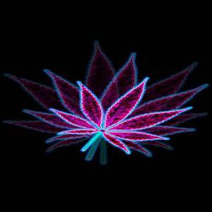 Não é 4:20 (Mas Eu Vou Legalizar !)