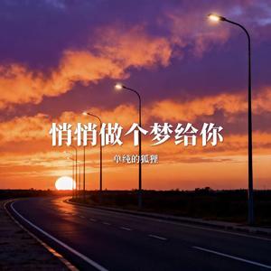 悄悄做个梦给你