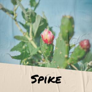 Spike