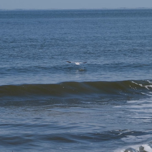 想你一次落一粒沙 大潞