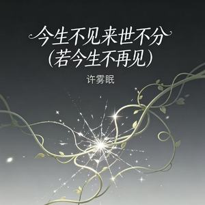 今生不见来世不分（若今生不再见）