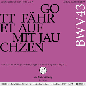 VIII. Rezitativ (Alt) - Der Vater hat ihm ja