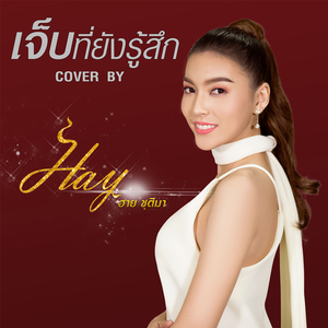 เจ็บที่ยังรู้สึก (Cover)
